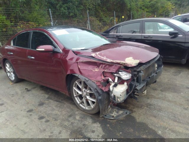 NISSAN MAXIMA 2010 1n4aa5ap9ac824286