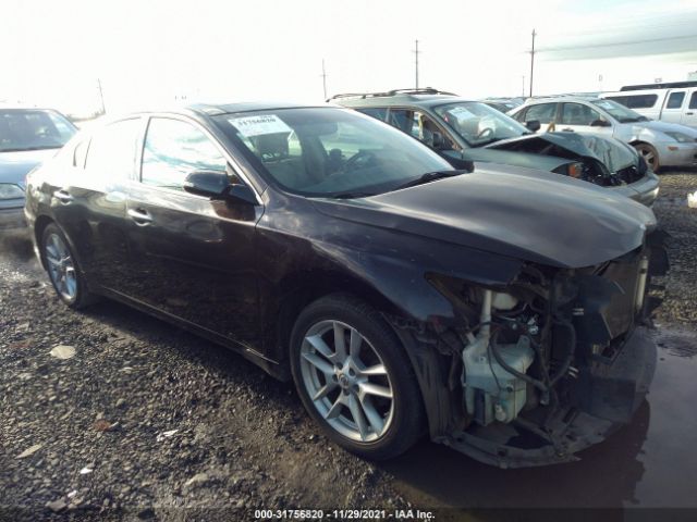 NISSAN MAXIMA 2010 1n4aa5ap9ac824515