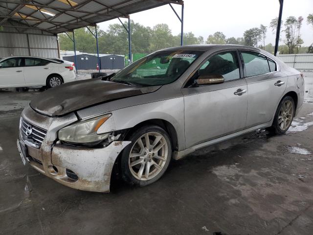 NISSAN MAXIMA 2010 1n4aa5ap9ac826314