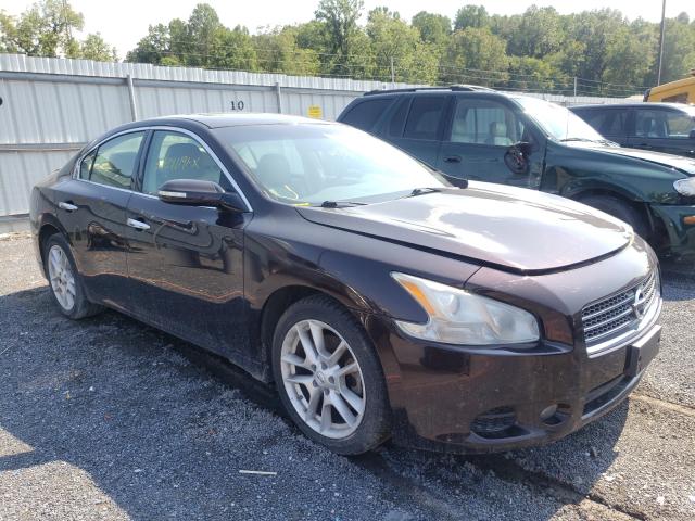 NISSAN MAXIMA S 2010 1n4aa5ap9ac829729