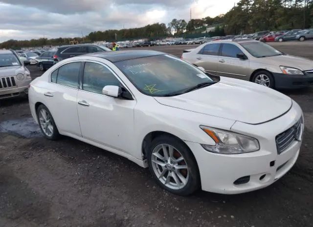 NISSAN MAXIMA 2010 1n4aa5ap9ac838608