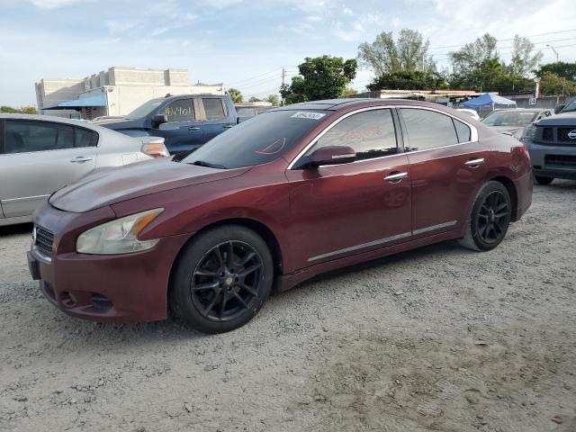 NISSAN MAXIMA 2010 1n4aa5ap9ac838611