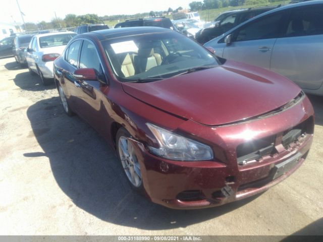 NISSAN MAXIMA 2010 1n4aa5ap9ac839208