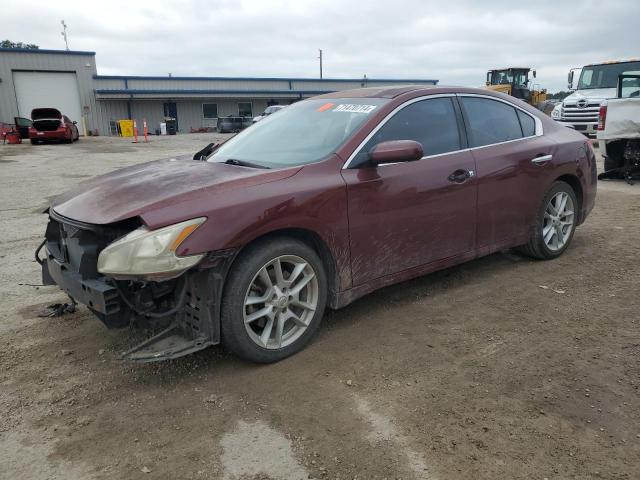 NISSAN MAXIMA S 2010 1n4aa5ap9ac839225