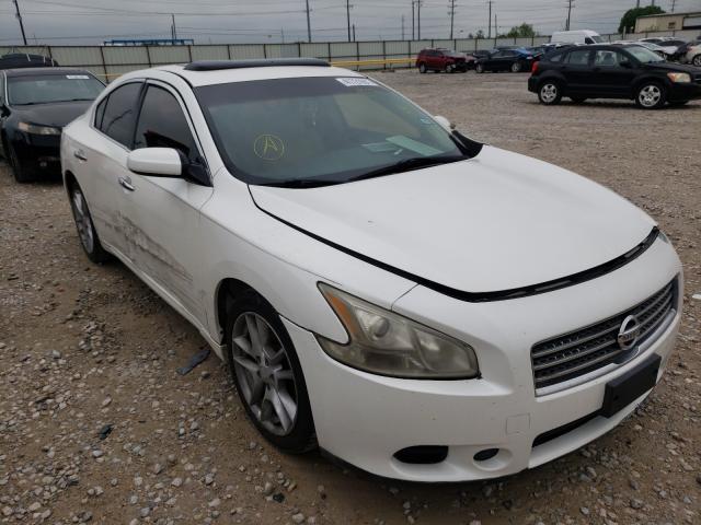 NISSAN MAXIMA 2010 1n4aa5ap9ac839273