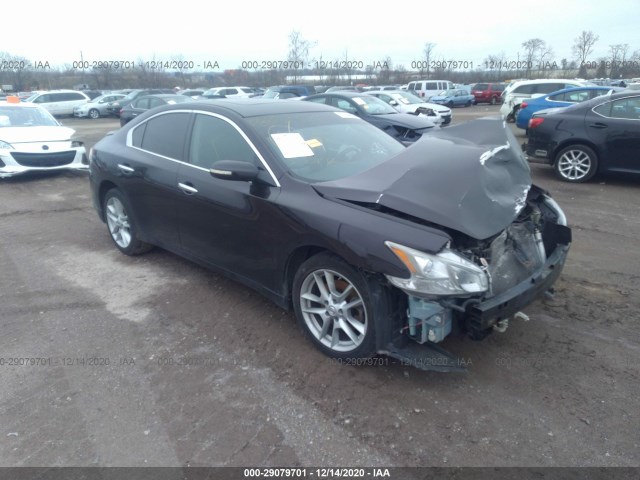 NISSAN MAXIMA 2010 1n4aa5ap9ac841069