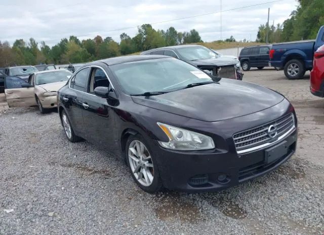 NISSAN MAXIMA 2010 1n4aa5ap9ac850483