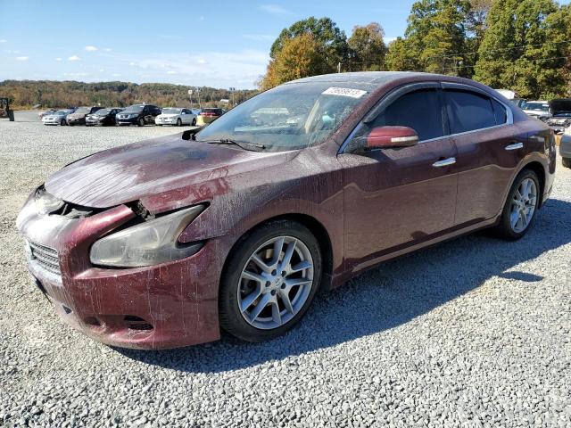 NISSAN MAXIMA 2010 1n4aa5ap9ac852282