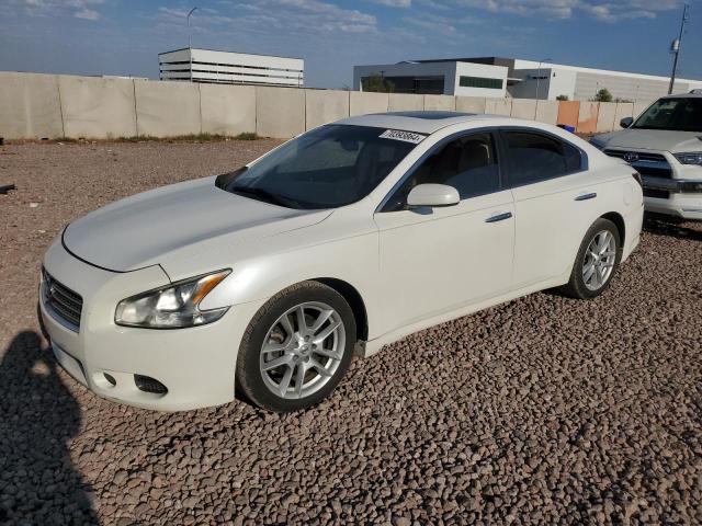 NISSAN MAXIMA S 2010 1n4aa5ap9ac859569