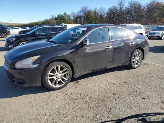 NISSAN MAXIMA 2010 1n4aa5ap9ac864268