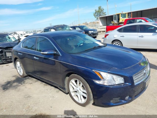 NISSAN MAXIMA 2010 1n4aa5ap9ac866702