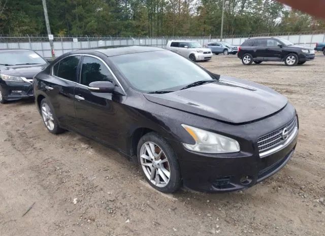 NISSAN MAXIMA 2010 1n4aa5ap9ac873133