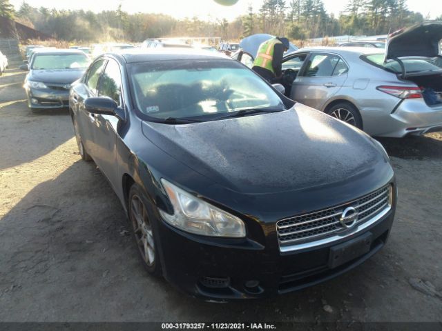 NISSAN MAXIMA 2011 1n4aa5ap9bc826556