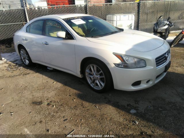 NISSAN MAXIMA 2011 1n4aa5ap9bc829280