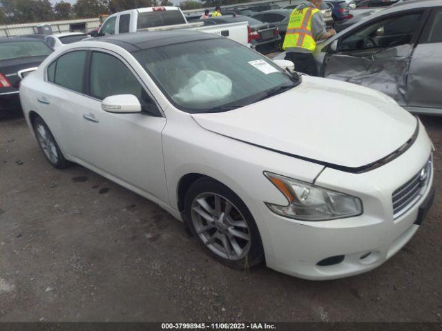 NISSAN MAXIMA 2011 1n4aa5ap9bc832695