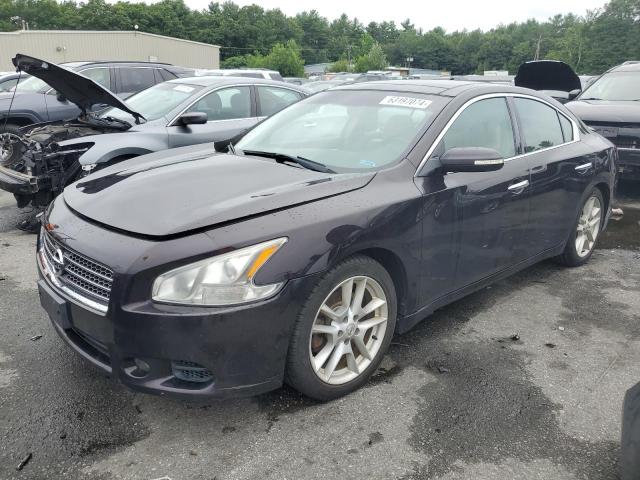 NISSAN MAXIMA 2011 1n4aa5ap9bc834124