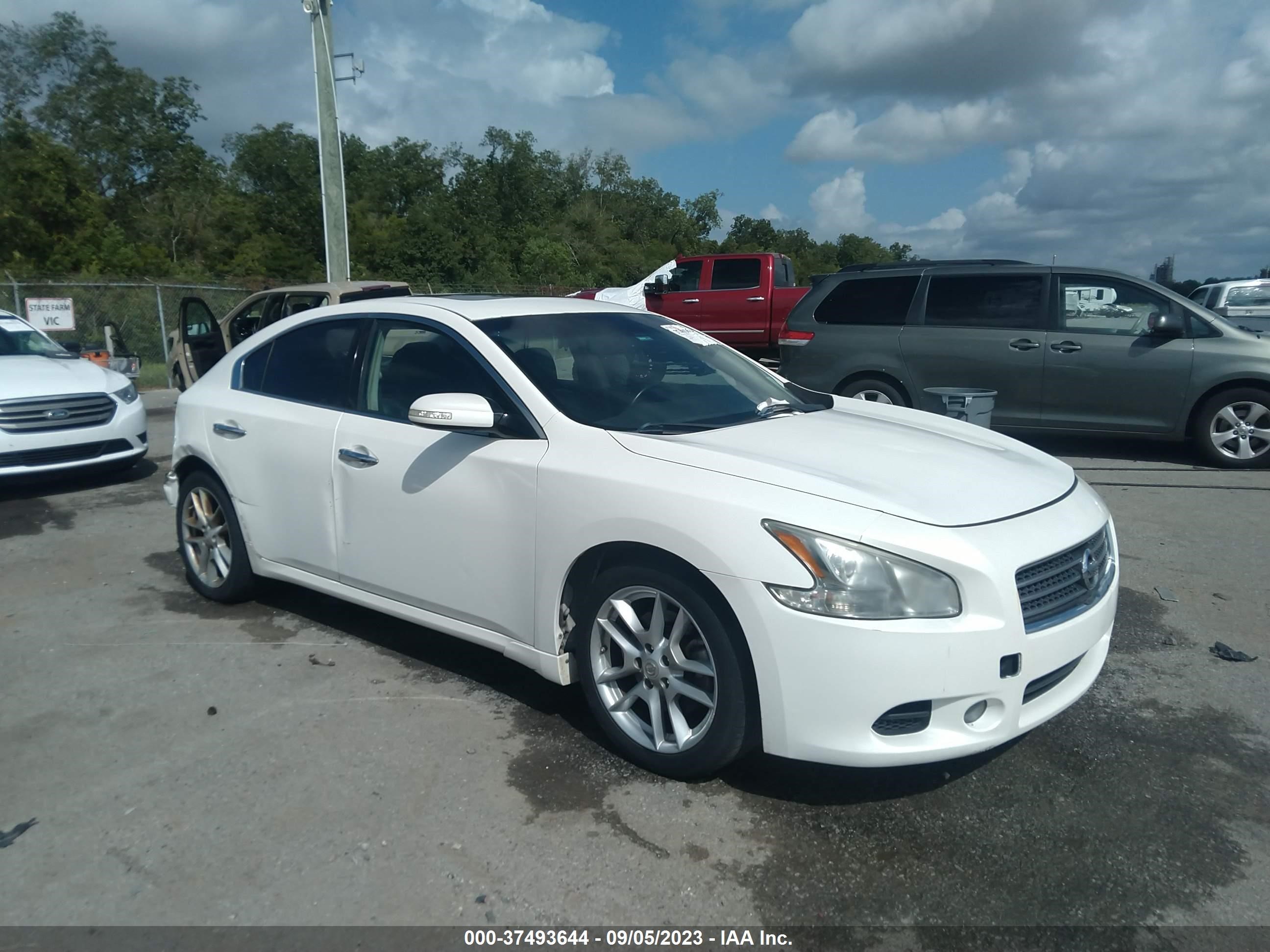 NISSAN MAXIMA 2011 1n4aa5ap9bc835449