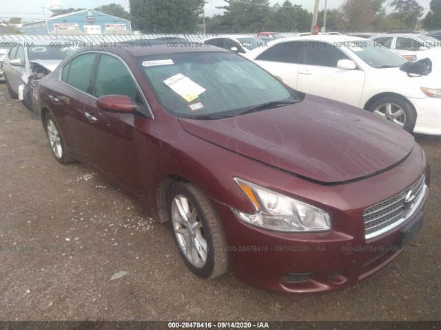 NISSAN MAXIMA 2011 1n4aa5ap9bc836195