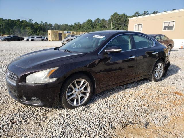 NISSAN MAXIMA 2011 1n4aa5ap9bc837847