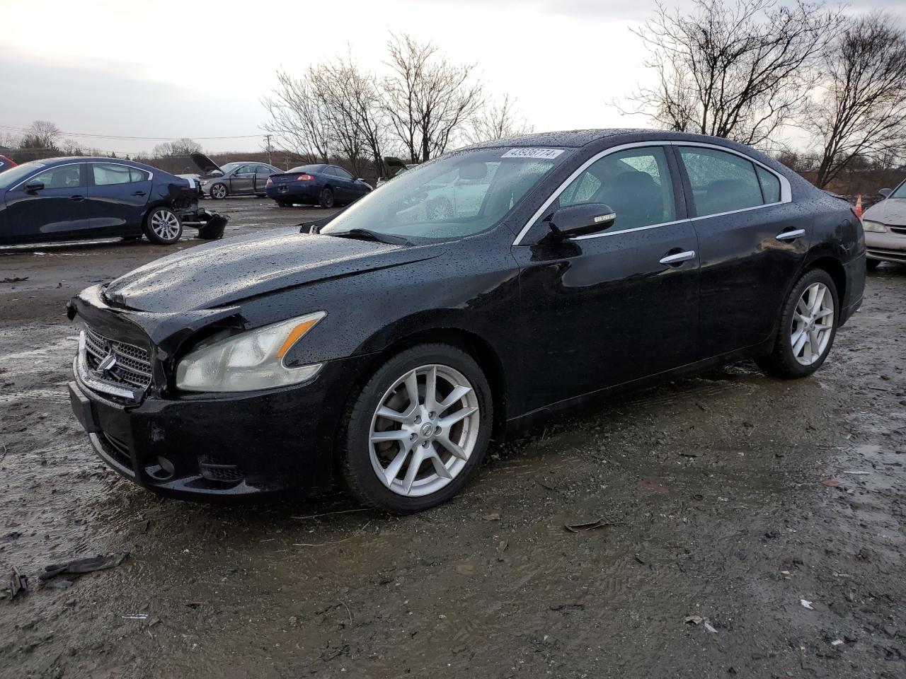 NISSAN MAXIMA 2011 1n4aa5ap9bc846726