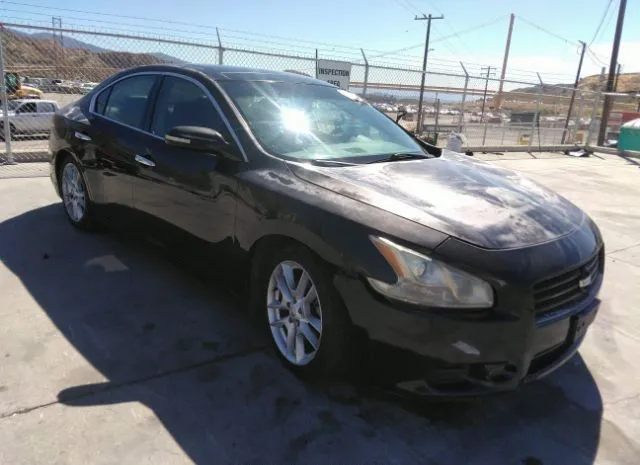 NISSAN MAXIMA 2011 1n4aa5ap9bc854101