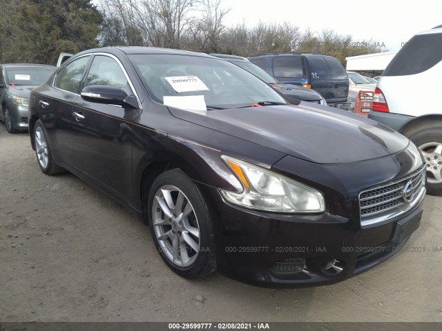 NISSAN MAXIMA 2011 1n4aa5ap9bc856267