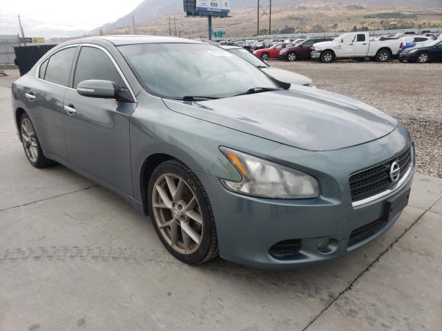 NISSAN MAXIMA 2011 1n4aa5ap9bc856771