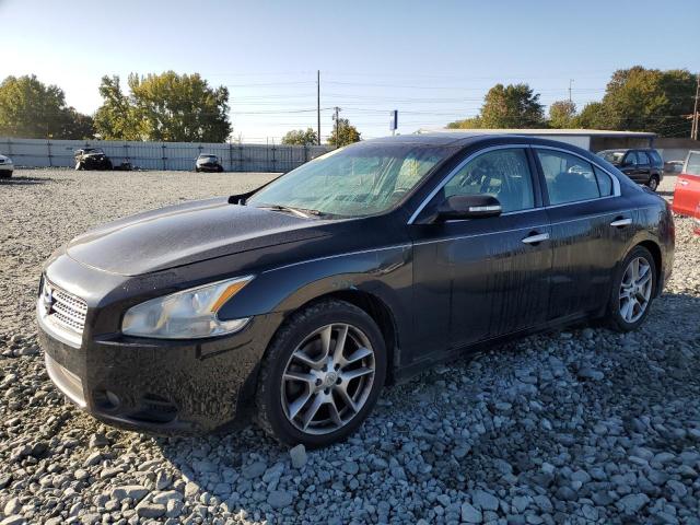 NISSAN MAXIMA S 2011 1n4aa5ap9bc868516