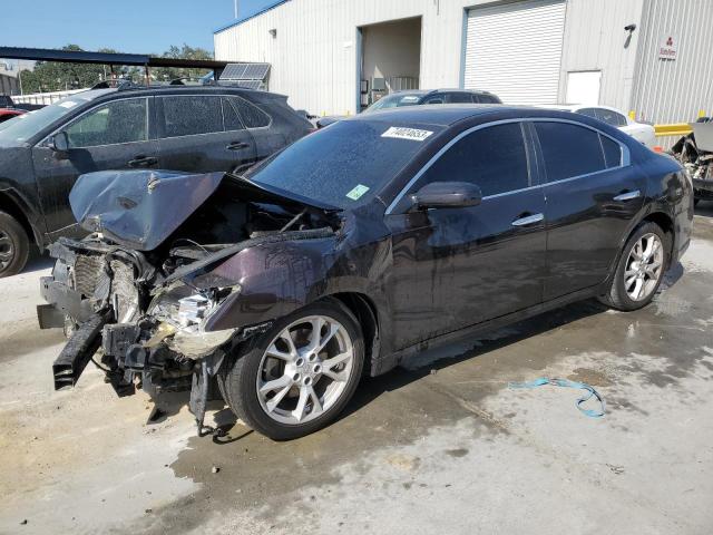 NISSAN MAXIMA 2013 1n4aa5ap9dc816404