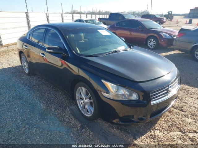 NISSAN MAXIMA 2010 1n4aa5apxac801051