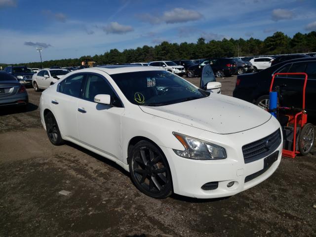 NISSAN MAXIMA S 2010 1n4aa5apxac803429