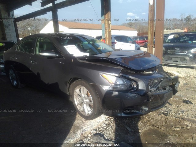 NISSAN MAXIMA 2010 1n4aa5apxac804337