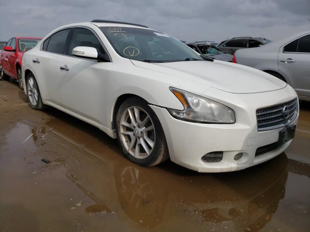 NISSAN MAXIMA S 2010 1n4aa5apxac805536