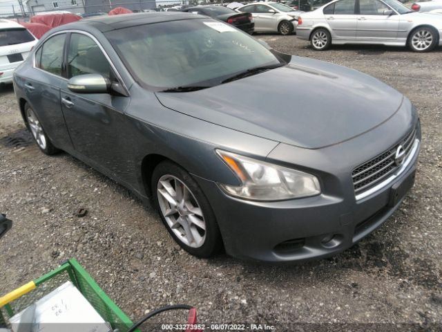 NISSAN MAXIMA 2010 1n4aa5apxac806850