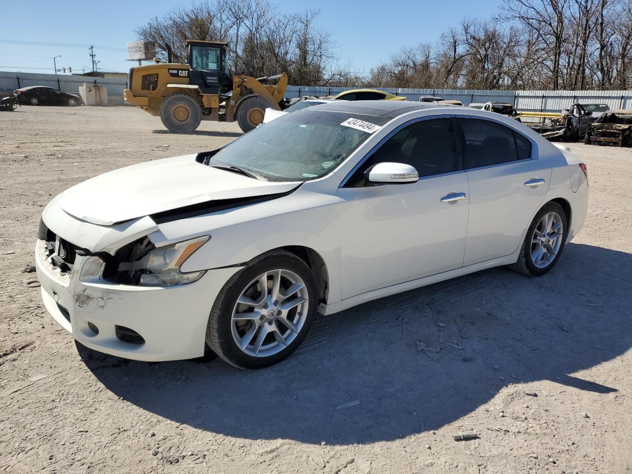 NISSAN MAXIMA 2010 1n4aa5apxac813992