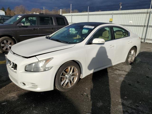 NISSAN MAXIMA 2010 1n4aa5apxac822546