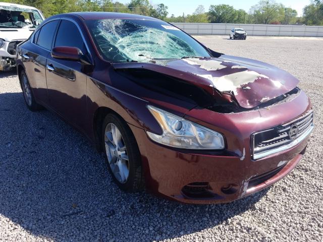 NISSAN MAXIMA S 2010 1n4aa5apxac824670