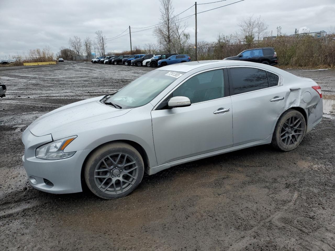 NISSAN MAXIMA 2010 1n4aa5apxac835443