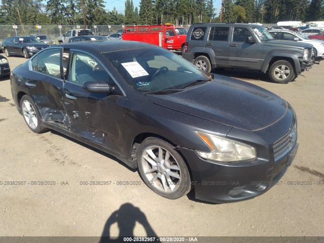 NISSAN MAXIMA 2010 1n4aa5apxac840447