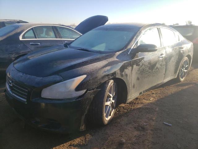 NISSAN MAXIMA 2010 1n4aa5apxac841615