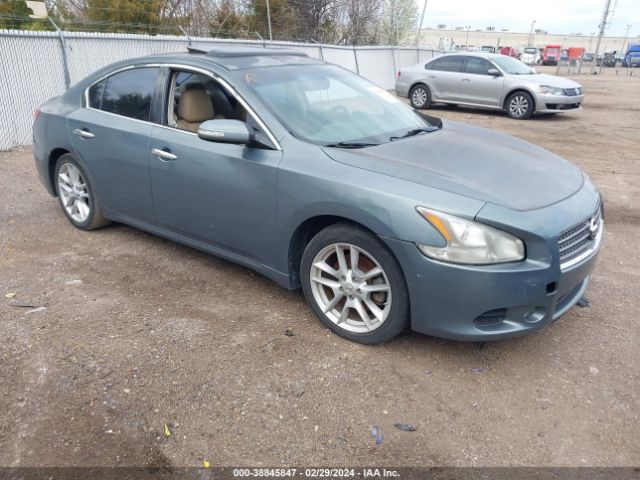 NISSAN MAXIMA 2010 1n4aa5apxac842862