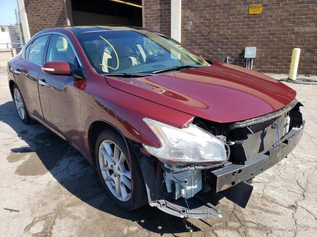 NISSAN MAXIMA S W 2010 1n4aa5apxac849486