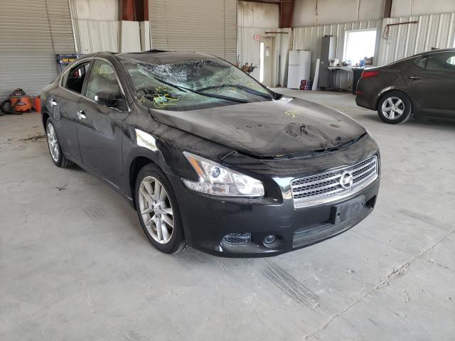 NISSAN MAXIMA S 2010 1n4aa5apxac852825