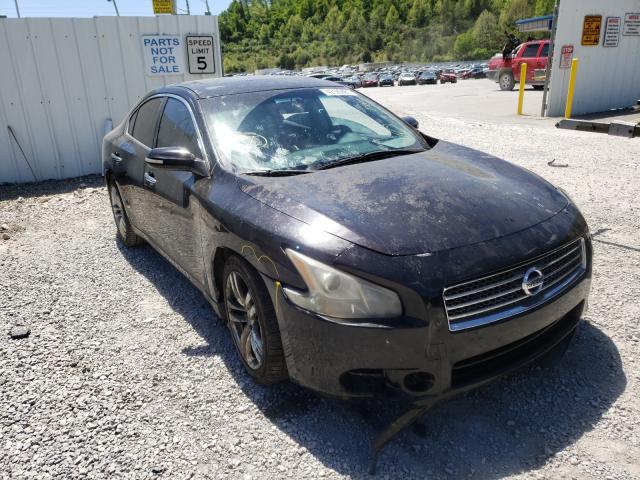 NISSAN MAXIMA S 2010 1n4aa5apxac860522