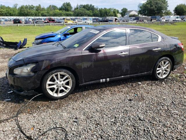 NISSAN MAXIMA S 2010 1n4aa5apxac863503