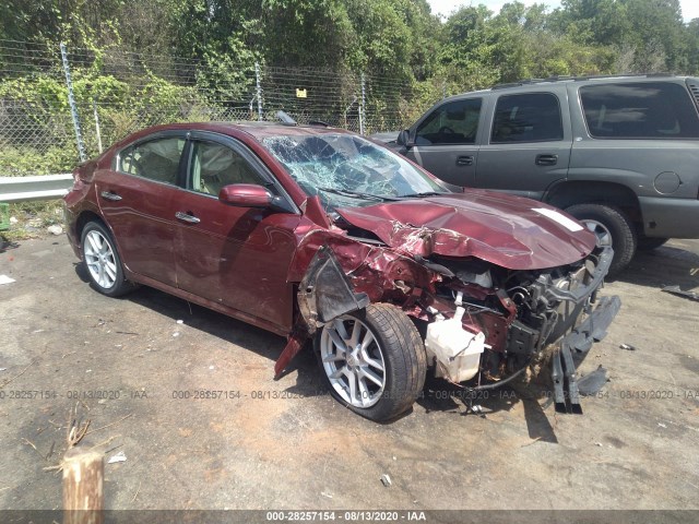 NISSAN MAXIMA 2010 1n4aa5apxac864893