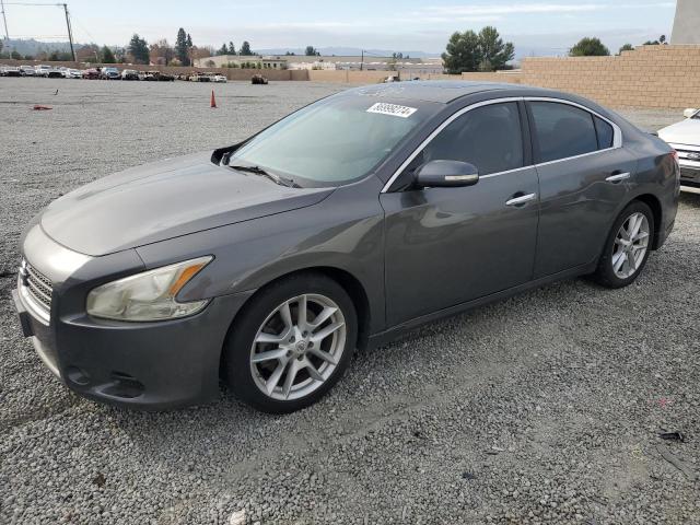 NISSAN MAXIMA S 2010 1n4aa5apxac867342