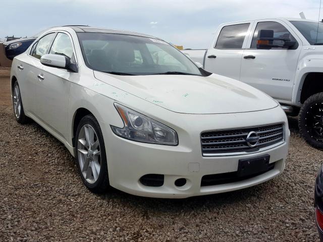 NISSAN NULL 2010 1n4aa5apxac868359