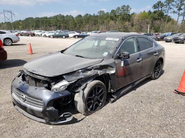 NISSAN MAXIMA S 2010 1n4aa5apxac868538