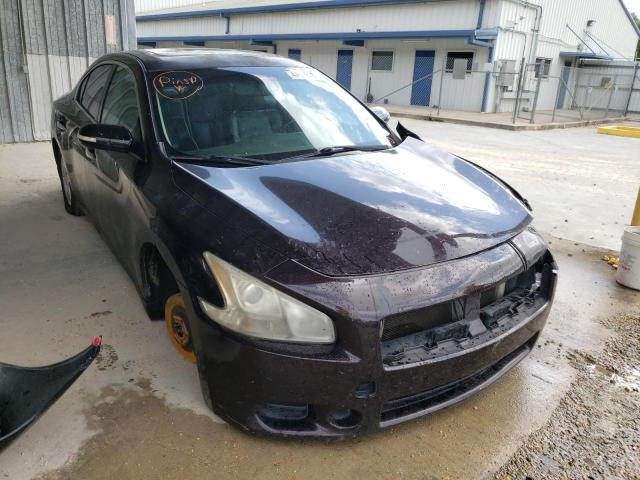 NISSAN MAXIMA 2010 1n4aa5apxac871276